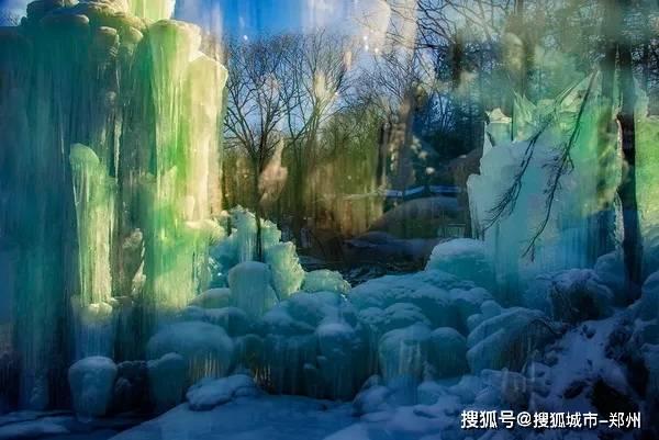 合金装备5